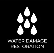 Water Damage Restoration Icon