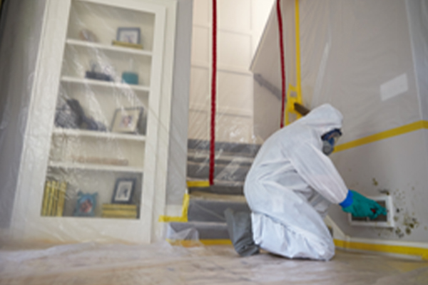Mold Remediation in Pittsburgh