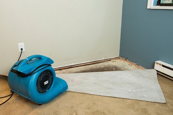 Basement Water Damage Restoration